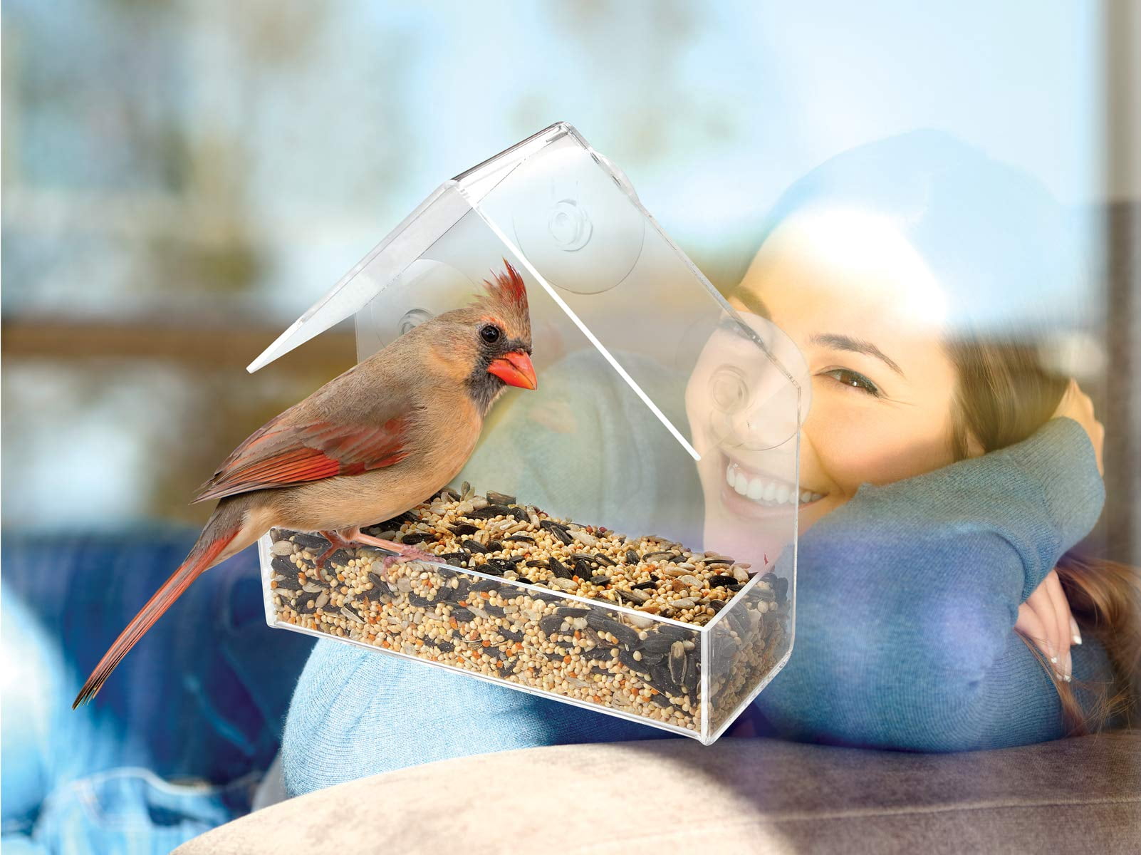 Window Bird Feeder with Strong Suction Cup for Fun and Amusing Bird Watching - Clear Bird Feeder for Any Room Window