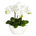 thumbnail image 1 of Arrangement Floral en Soie Phalaenopsis, 1 of 1