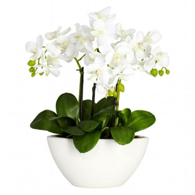 Arrangement Floral en Soie Phalaenopsis
