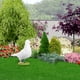 thumbnail image 3 of Palomas Blancas Artificiales, Plumas, Pájaros, Jardín, Decoración del Hogar, Juguete Educativo Para Niños, 3 of 7
