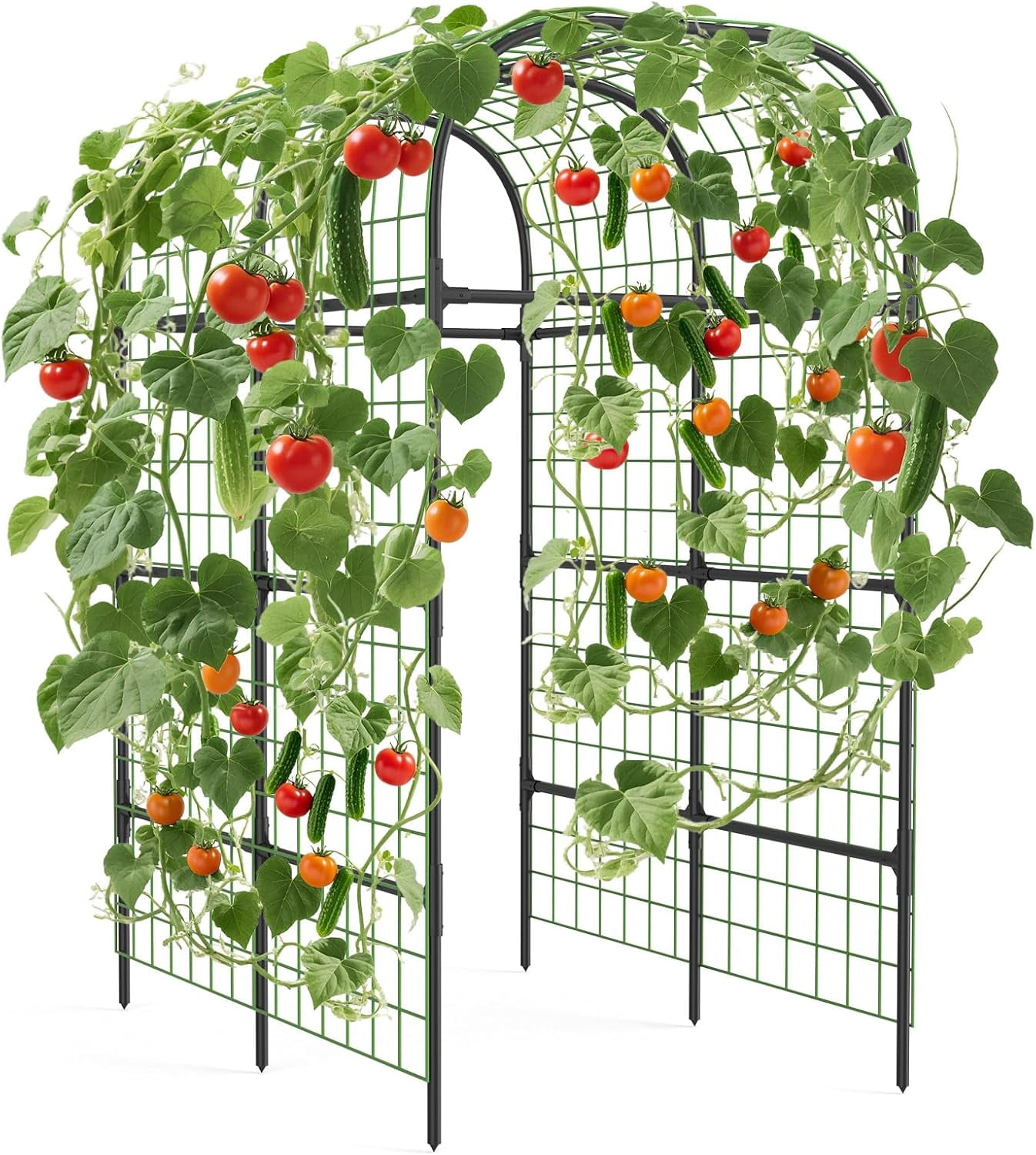 Sturdy 7.3ft Metal Garden Arch Trellis for Raised Beds – Black Plant Support Frame – Supports Climbing Vegetables, Cucumbers, and Vines – Plastic Connectors – Color: None