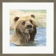 thumbnail image 1 of Great Art Now Bear Bath by Stellar Design Studio, Framed Wall Art, 18W x 18H, 1 of 2