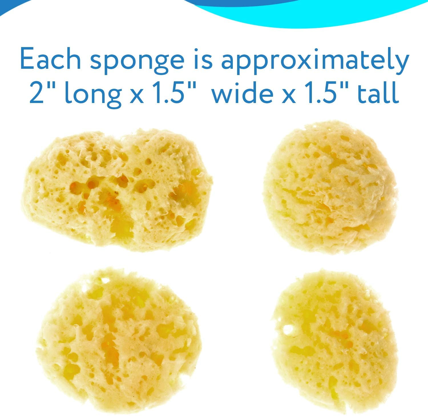 Awesome Aquatics 4-Pack of Jumbo Hermit Crab Sea Sponges (All Natural Hermit Crab Sponge)