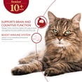 thumbnail image 4 of Inaba Churu Bisque Senior Lickable Wet Cat Topper, 1.4 oz Pouch, 12 Pouches, Tuna with Salmon, 4 of 7