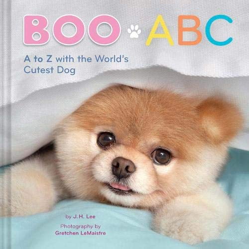 Pre-Owned Boo ABC: A to Z with the World's Cutest Dog Paperback