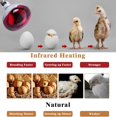 thumbnail image 3 of wqlpp-2 Pack 275W Infrared Heat Bulbs Red Heat Lamp Glass for Food Service Brooder Bulb Chicks Pet Bathroom Heat Bulb 110V E26 Base Sauna Light Therapy Use Flood Light Heat Lamp Bulbs, 3 of 4