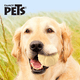 thumbnail image 2 of JUGUETE PELOTA C/AROMA VAINILLA SNIFF, 2 of 2