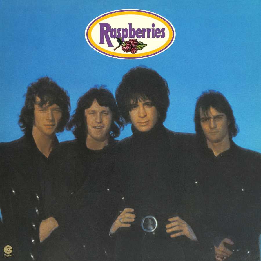 the-raspberries-raspberries-vinyl-limited-edition-walmart-walmart