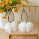 thumbnail image 4 of Calabaza Colgante de Tela Suave de 10 Cm | Decoración para El Hogar para Acción de Gracias, Halloween, Fiestas de Otoño | Adorno de Calabaza de Peluche Ligero para Puertas, Ventanas, Árboles y Techos, 4 of 6