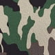 2PC-CAMO