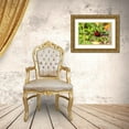thumbnail image 3 of Jaynes Gallery 32x23 Gold Ornate Wood Framed with Double Matting Museum Art Print Titled - Caribbean-Trinidad-Asa Wright Nature Center Silver-beaked tanager bird on limb, 3 of 4
