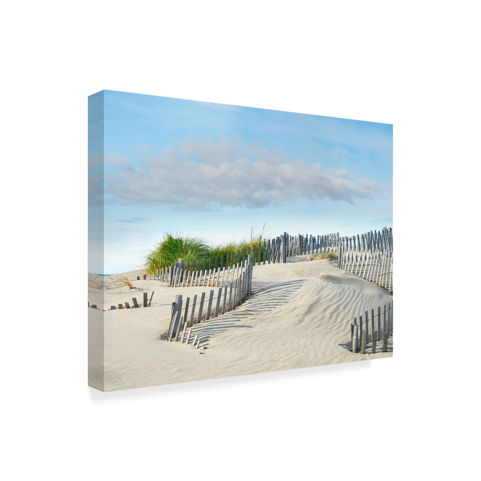 Trademark Fine Art 'Beachscape III' Canvas Art by James McLoughlin