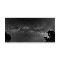 Trademark Fine Art Landscape Canvas Art ' Overarching ' by Brenda Petrella Photography Llc