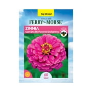 Ferry-Morse 510MG Zinnia Giant Double Enchantress Annual Flower Seeds Full Sun