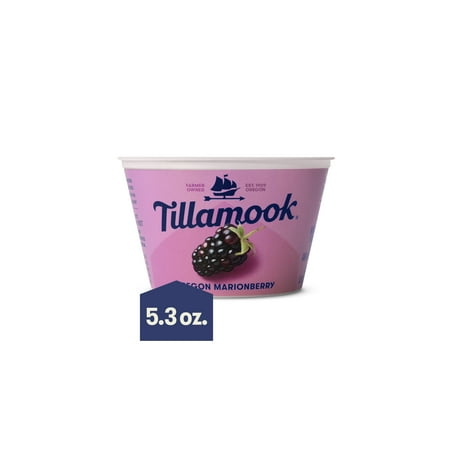 Tillamook Oregon Marionberry 2% Greek Yogurt, Blended, 5.3 oz