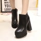 thumbnail image 5 of Botas cortas para mujer Tacón superalto grueso más botas de cuero cálidas de terciopelo Botas bajas sexy Wmkox8yii hfjk609, 5 of 9