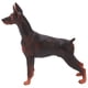 thumbnail image 4 of Figurita De Perro, Story Prop Simulación Animal Dog Figure Educación Muy Detallada Para Mayores De 3 Años Para Decoración Para Colección ANGGREK No, 4 of 7