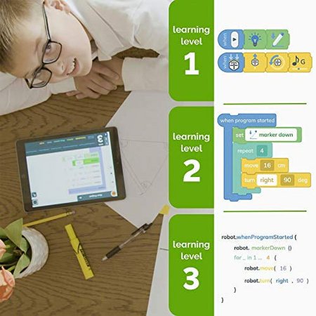 iRobot - Root rt0 Coding Robot – Educational Learn-to-Code STEM Toy – App-Enabled