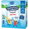 Stonyfield Organic Kids Strawberry Banana Lowfat Yogurt Pouches, 4 Ct