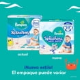 thumbnail image 3 of Pañales de natación Pampers Splashers, tamaño mediano, 11 unidades, 3 of 7
