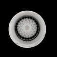 thumbnail image 4 of 2 Pcs Têtes de Brosse de Rechange pour Clarisonic MIA & MIA 2 PRO PLUS Nettoyants pour le Visage, 4 of 6
