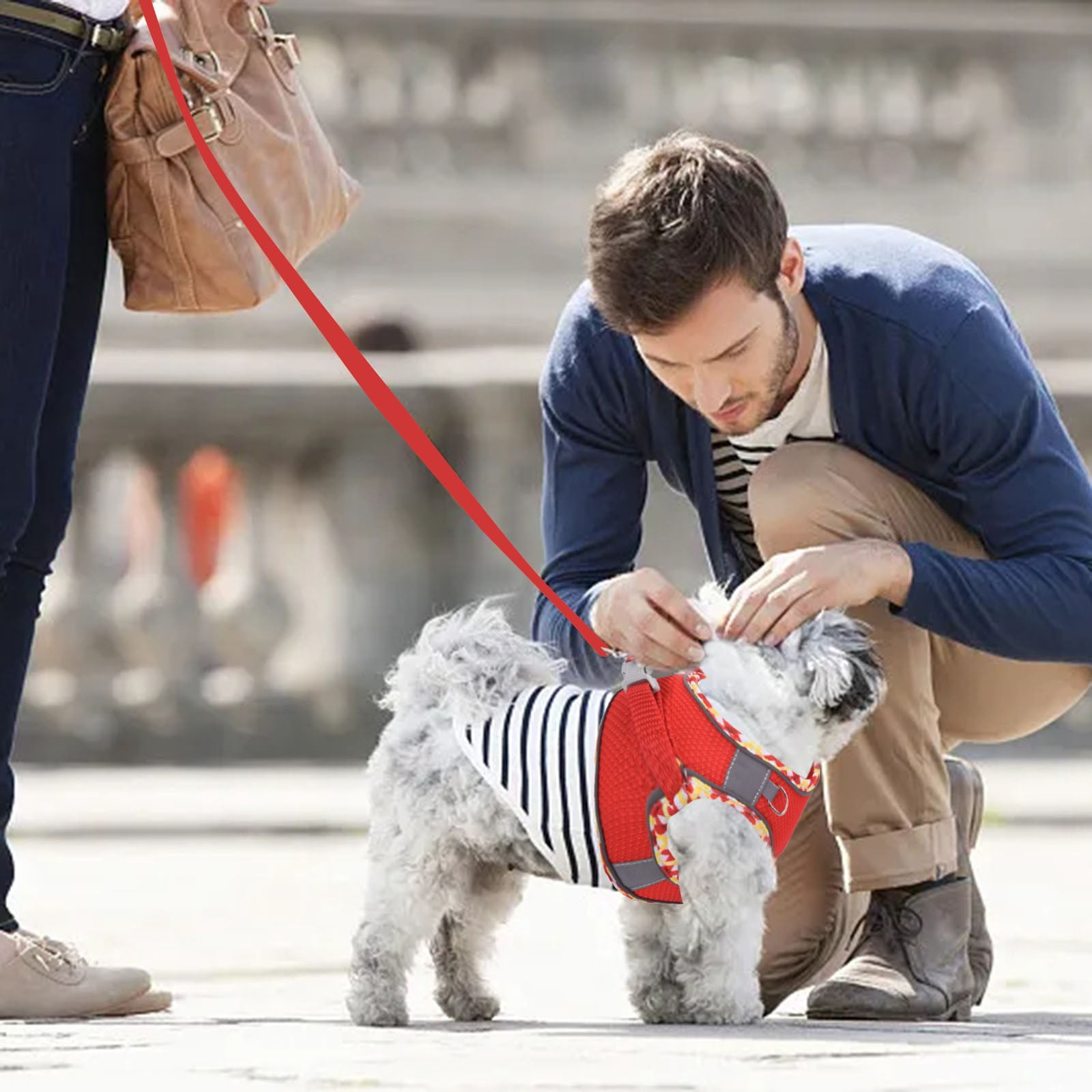 Harnais Pour Chien Anti-Traction Avec Laisse - Pour Promenade, Course - Taille S, M, L, XL - Couleur Rose Clair - 7