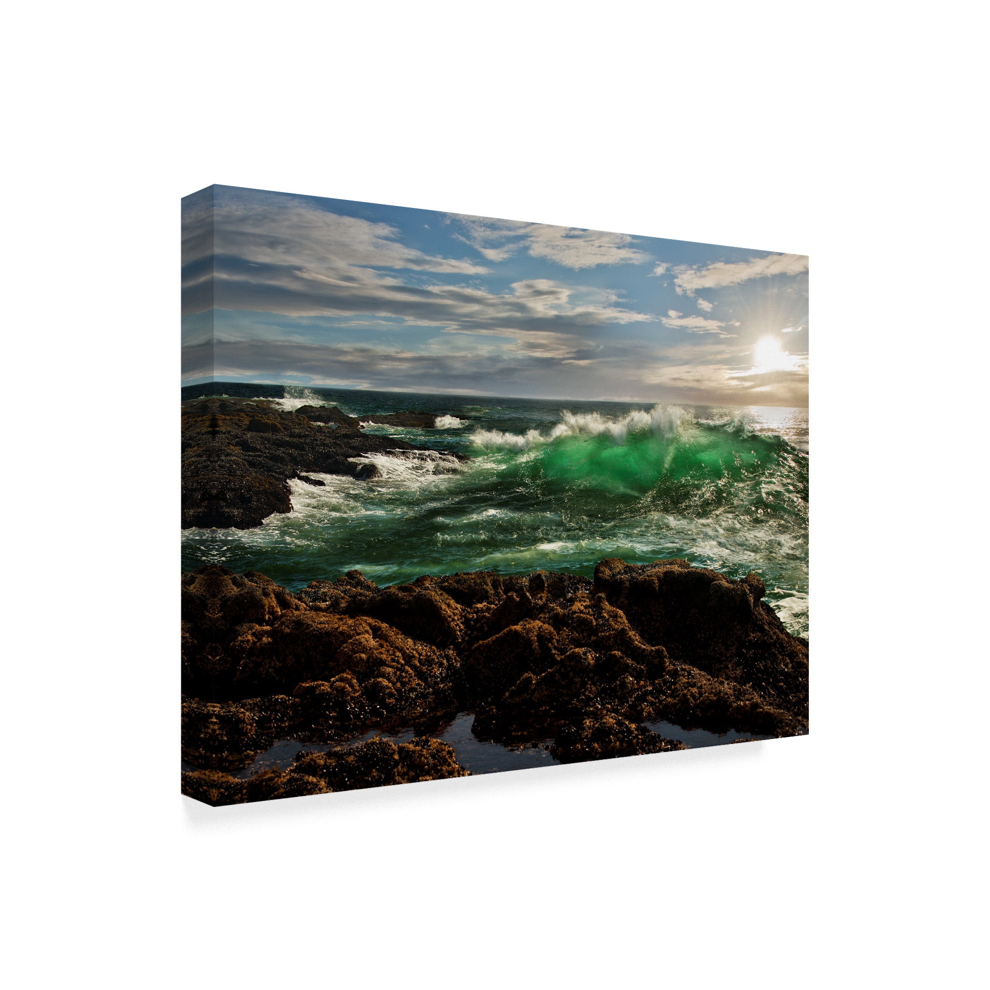 Trademark Fine Art 'The Wave Rocky' Canvas Art by Natalie Mikaels