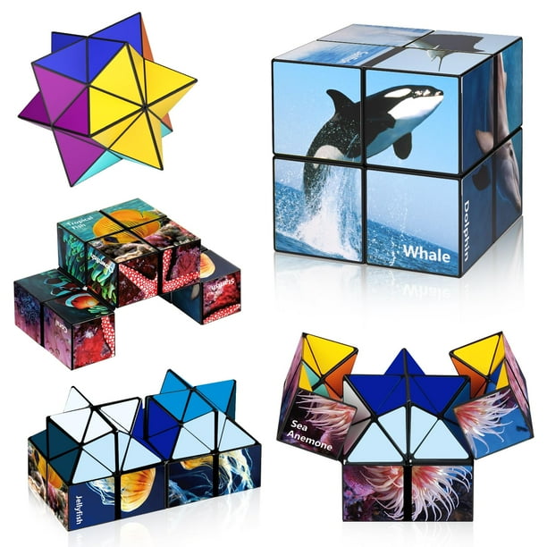Juego Magic Cube Euclidean Star Cube 2 en 1 para niños de 8 a 12 años