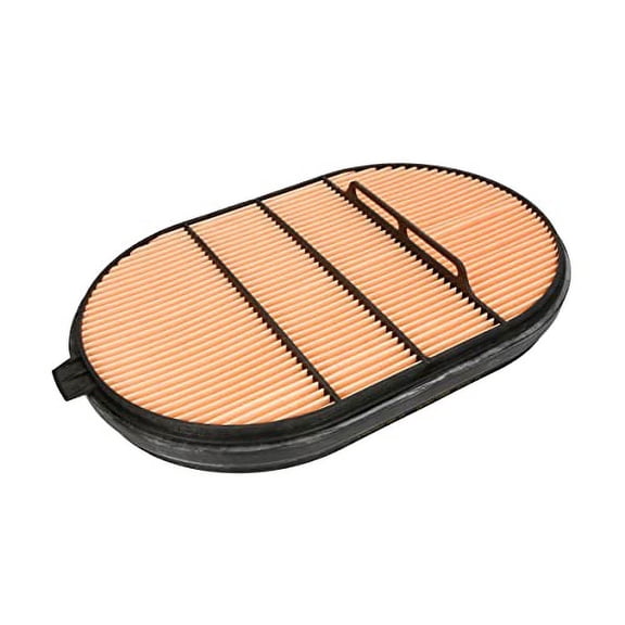 Donaldson P607557 Filter