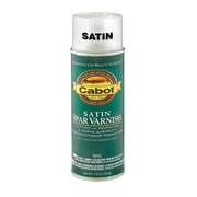 8042 Spray Satin Spar Varnish per 6 EA