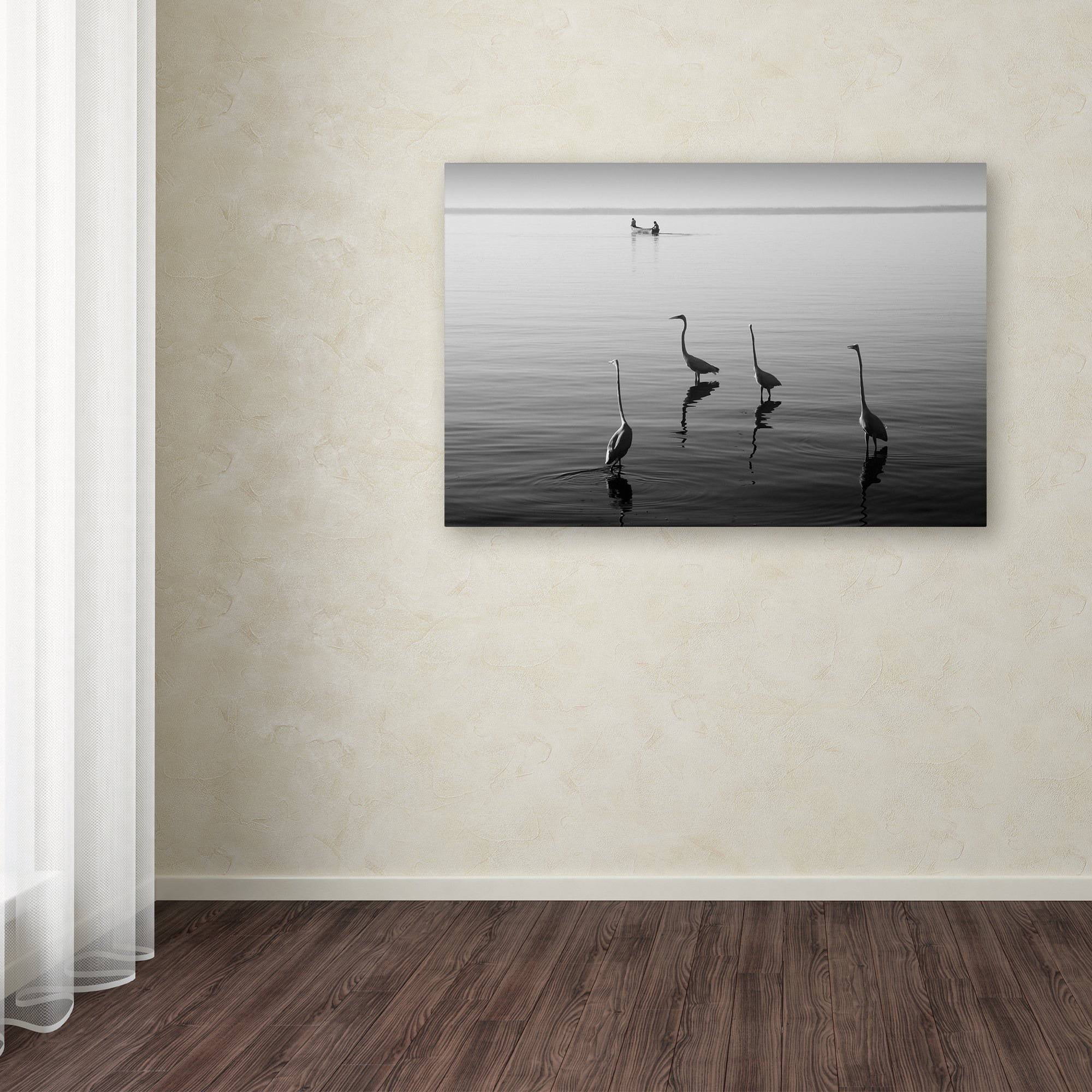 Trademark Fine Art "4 Herons and Boat" Canvas Art by Moises Levy