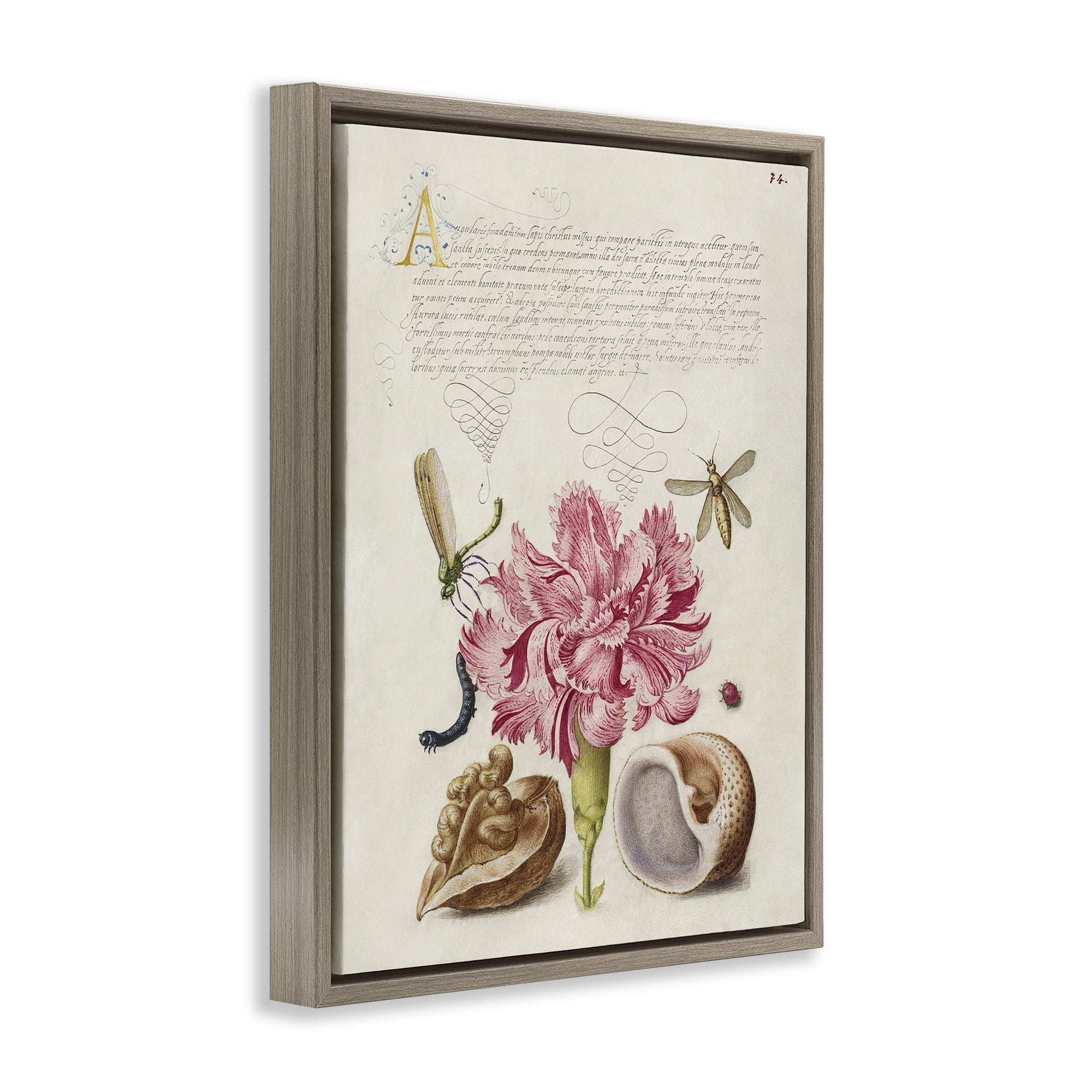 Stupell Industries Antique Flower & Snails Text & Numbers Painting Brown Floater Framed Canvas Art Print Wall Art, 17 x 21