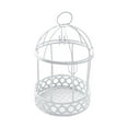 thumbnail image 1 of Jierger Small Contemporary Bird cage, Windproof Garden Accent & Desk Storage Case, Fun TreatHolder & Photo Backdrops, for House Garden Desk Decor DIY Photo Prop Accessory, 1 of 9