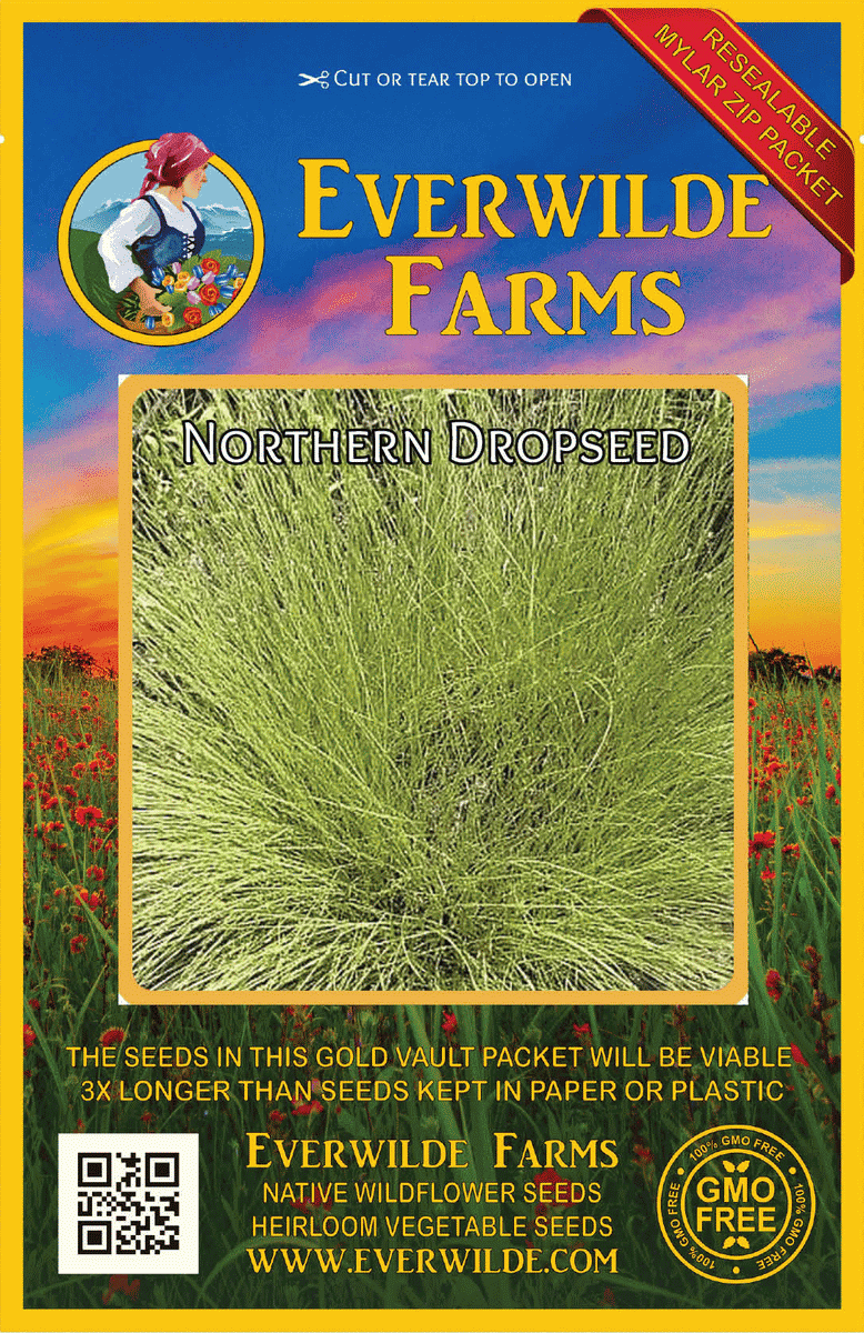 Everwilde Farms - 1 lb Northern Dropseed Native Grass Seeds - Gold Vault Bulk Seed Packet