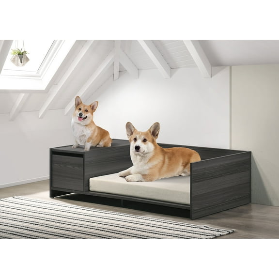 DUOSONG Esme 47" Wide Modern Comfy Pet Bed with Cushion and Side Storage