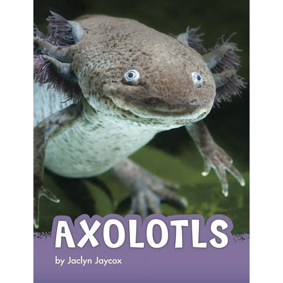 Animals Axolotls, (Paperback)