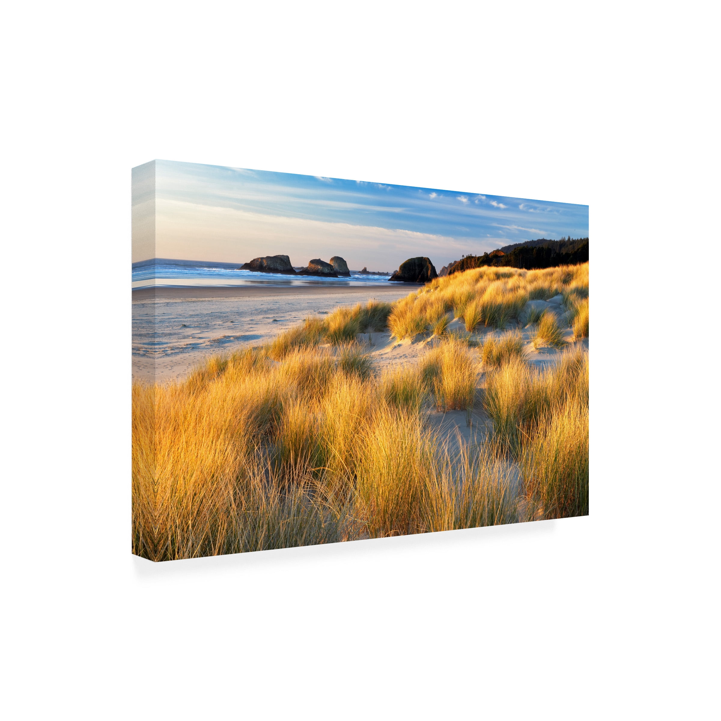 Dennis Frates 'Sea Grass 8' Canvas Art