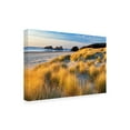 thumbnail image 2 of Dennis Frates 'Sea Grass 8' Canvas Art, 2 of 3