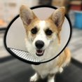 thumbnail image 3 of Supet Anti-Bite Protection Cone Collars for Dog Cat Puppy Wound Collar Adjustable Neck Cone Protector Soft Soft Plastic Clear,, 3 of 5