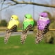 thumbnail image 2 of 12 Uds Pájaros De Plumas Artificiales De Colores, Pájaro De Espuma De Simulación Artificial Hecho A Mano, Para Exteriores, Artesanía Casera, Adornos Para El Hogar EOTVIA No, 2 of 7