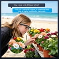 thumbnail image 5 of ouhos AI Smart Glasses with 8MP Camera, 4K Video Photo Capture, Real-Time Translation, Recording, AI Assistant, Open-Ear Audio, Bluetooth, Object Recognition, Replaceable Sunglasses Lenses for Travel, 5 of 8