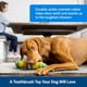 thumbnail image 3 of Juguete masticable PetSafe Busy Buddy Cravin' Corncob Dog sin BPA, 3 of 5