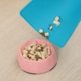 thumbnail image 6 of Bcylexb Silicone Pet Feeding Mat, Raised Edge Dog Bowl Mat for Food Spillage, Heat Insulation and Easy Clean Cat Food Mat (15.7" x 9.4", Blue), 6 of 6