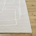 thumbnail image 3 of BoutiqueRugs Vatsa Contemporary Area Rug - Sterling Gray, Light Silver - 5' x 7'6", 3 of 6