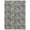 Silver, variant on Shadow Thandi Transitional Geometric Dark Green Area Rug, 4x6