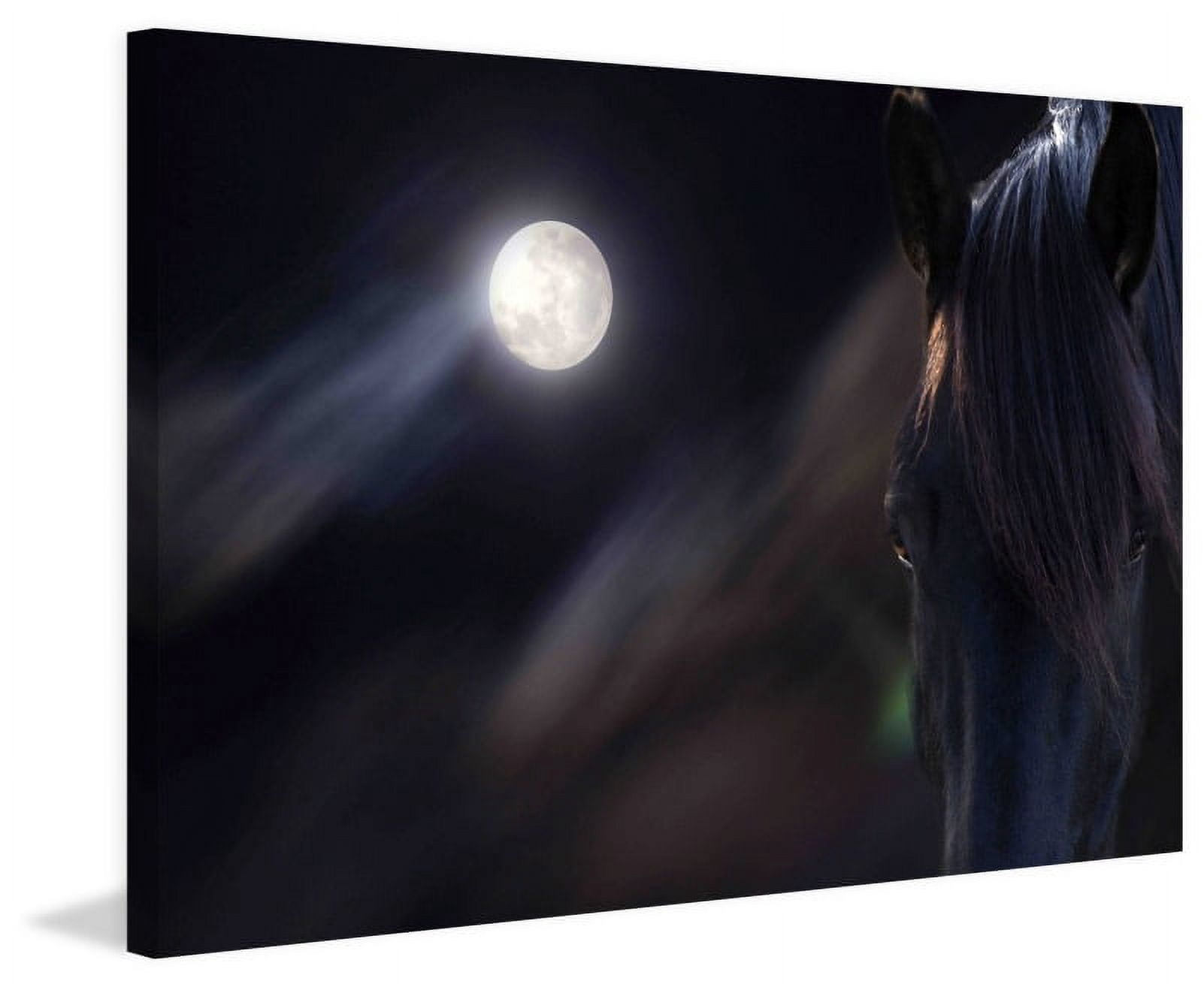 Marmont Hill "Circle of Life" by Maggie Dee Painting Print on Canvas