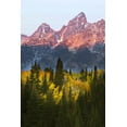 thumbnail image 2 of Jones, Adam 13x18 White Modern Wood Framed Museum Art Print Titled - Autumn view of Teton Range at sunrise-Grand Teton National Park-Wyoming, 2 of 4