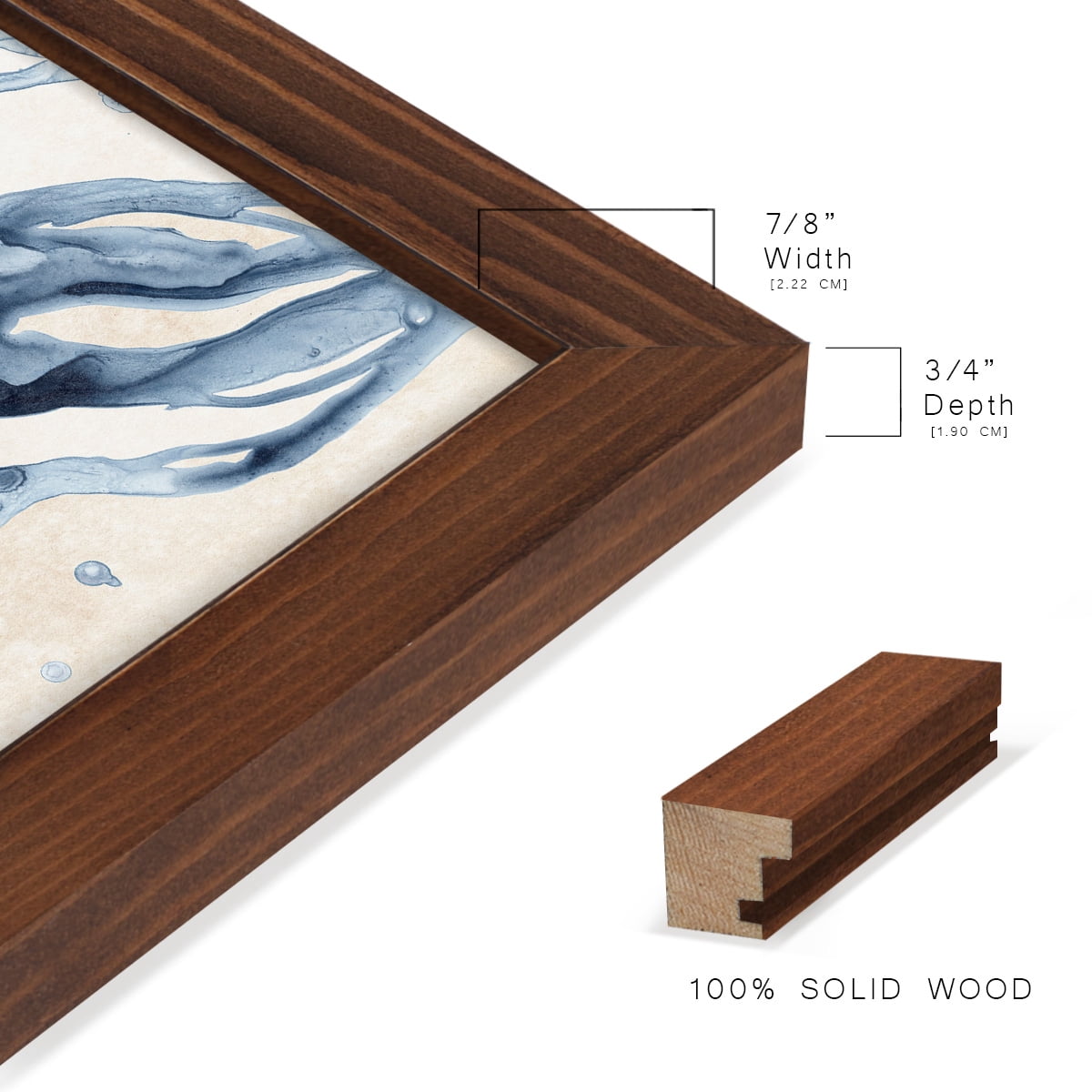 Water Shells II - Framed Print w/glass - Chestnut