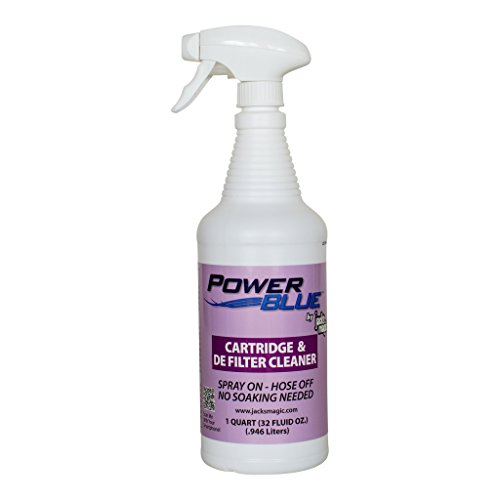 Power Blue Instant Spray Cartridge & DE Filter Cleaner, 32 oz