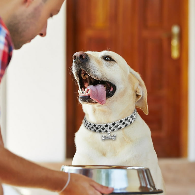 Dog collars for women deals